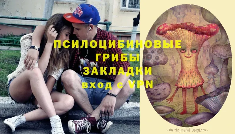 ссылка на мегу ONION  Людиново  Псилоцибиновые грибы Cubensis  даркнет сайт 